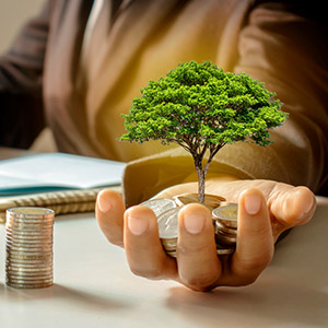 Origin of the Employment Stabilization Fund